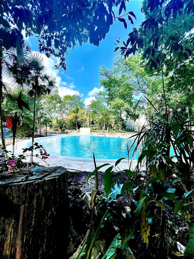 Hotel Tequila Cancun Alfredo V. Bonfil Kültér fotó