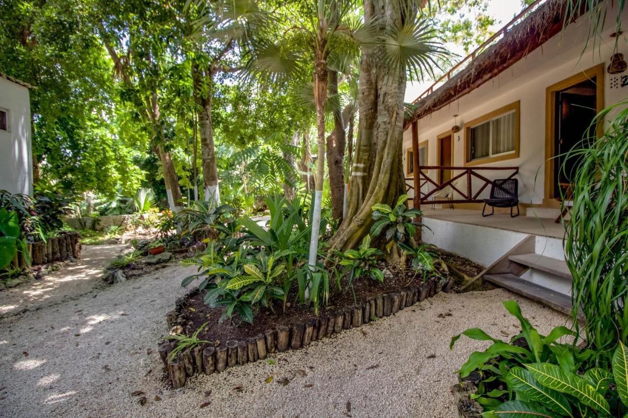Hotel Tequila Cancun Alfredo V. Bonfil Kültér fotó