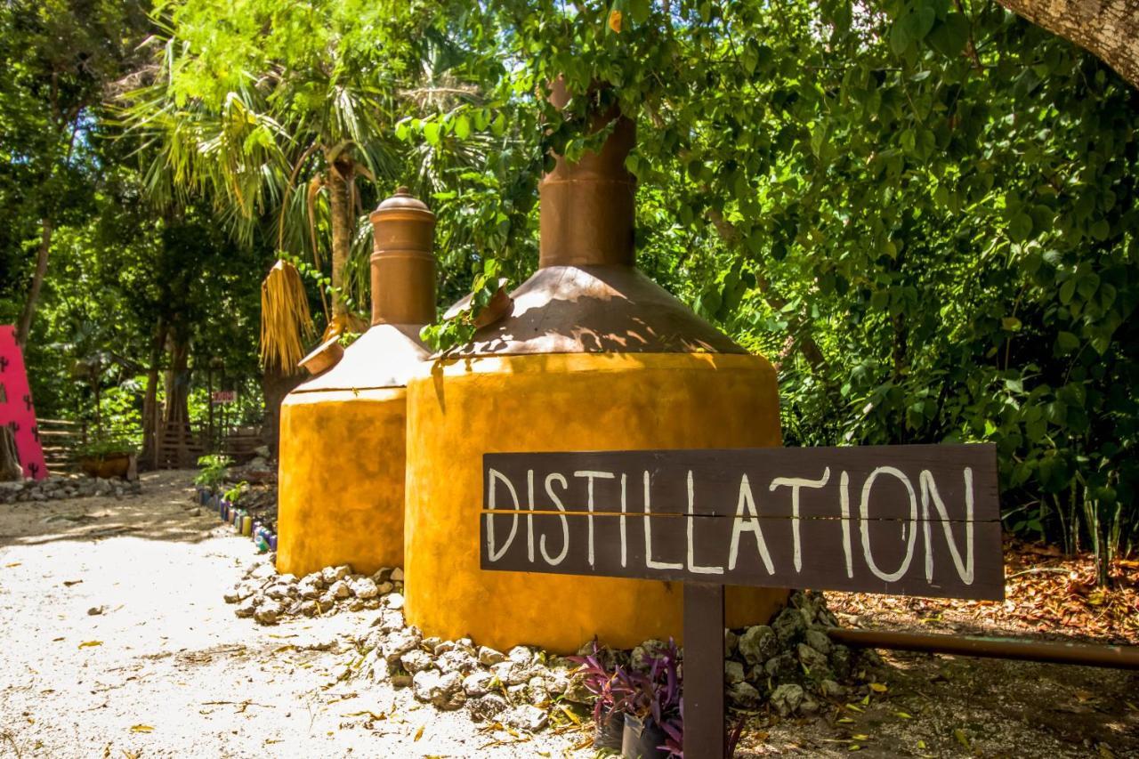 Hotel Tequila Cancun Alfredo V. Bonfil Kültér fotó