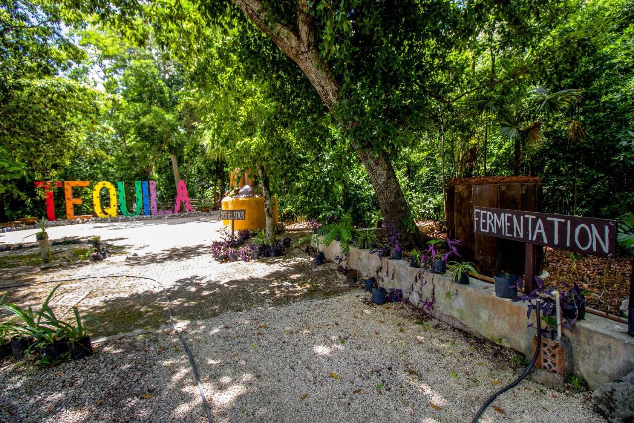 Hotel Tequila Cancun Alfredo V. Bonfil Kültér fotó