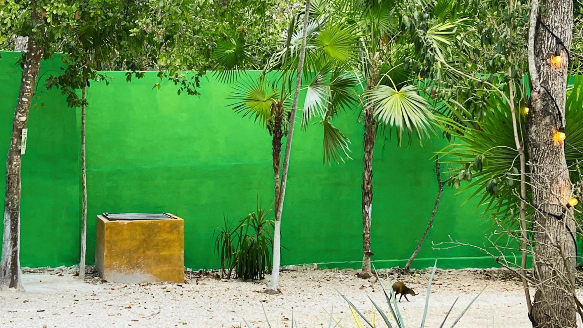 Hotel Tequila Cancun Alfredo V. Bonfil Kültér fotó