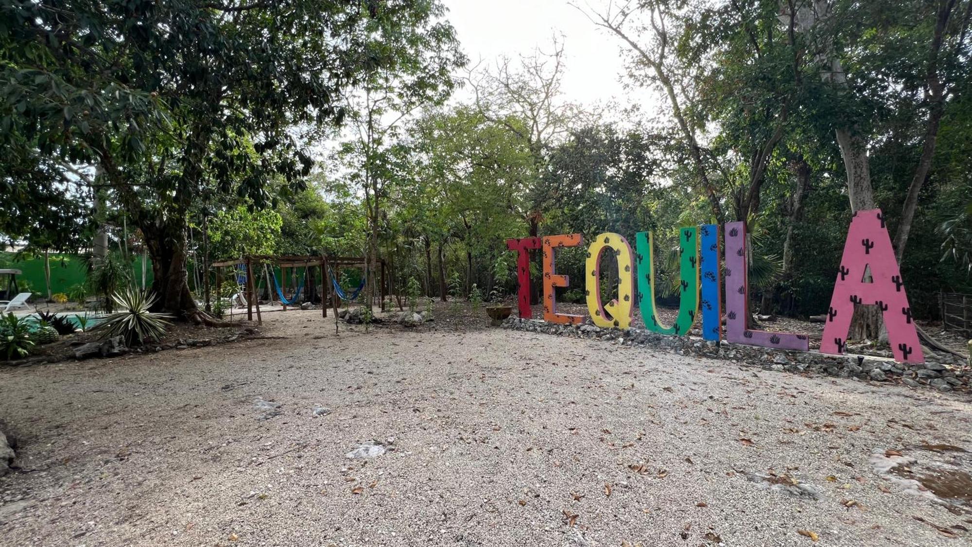 Hotel Tequila Cancun Alfredo V. Bonfil Kültér fotó